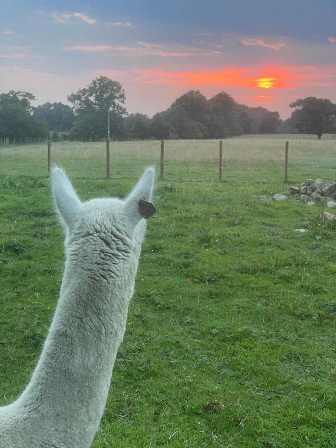 Alpaca Fold Villa Preston  Eksteriør bilde
